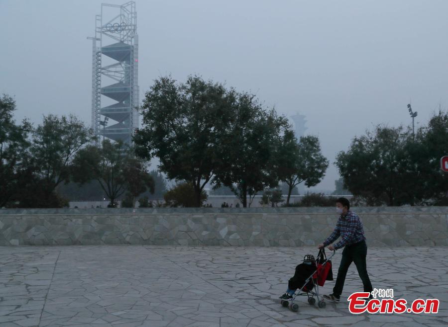 Tourists visit the area around National Stadium, also known as the Bird\'s Nest, on a smoggy day in Beijing, Oct. 14, 2018. Serious air pollution was reported in Beijing on Sunday. (Photo: China News Service/Liu Guanguan)