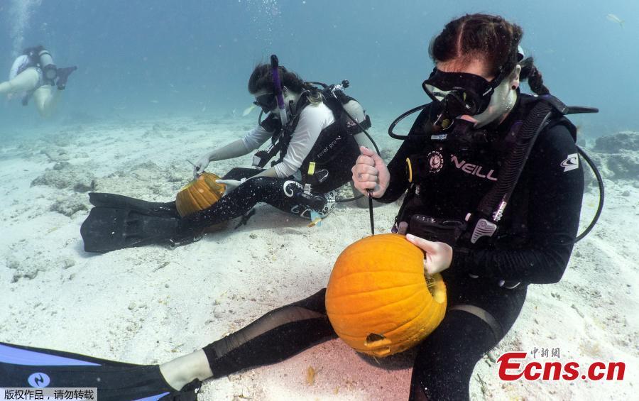 Contestants compete in the Underwater Pumpkin Carving Contest, staged by the Amoray Dive Resort off Key Largo, Florida, in the Florida Keys National Marine Sanctuary, Oct. 14, 2018. (Photo/Agencies)