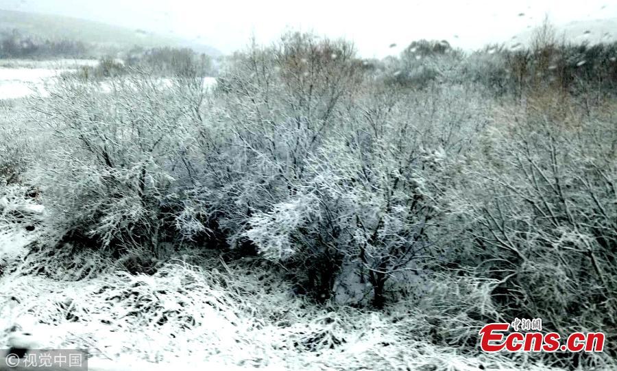 <?php echo strip_tags(addslashes(The first snow of the winter hits Heihe City, Northeast China’s Heilongjiang Province, Oct. 15, 2018. (Photo/VCG))) ?>