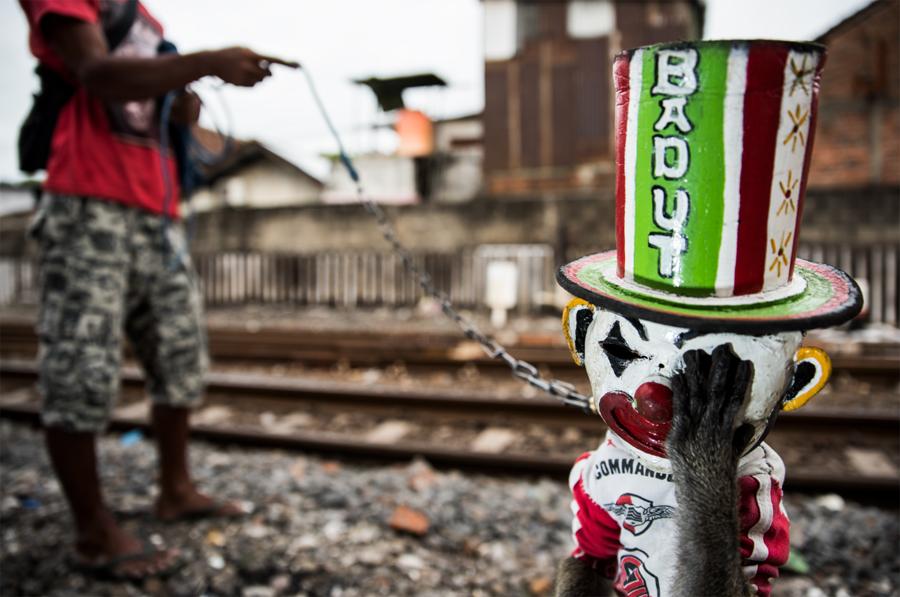 (Photo Provided to China Daily)