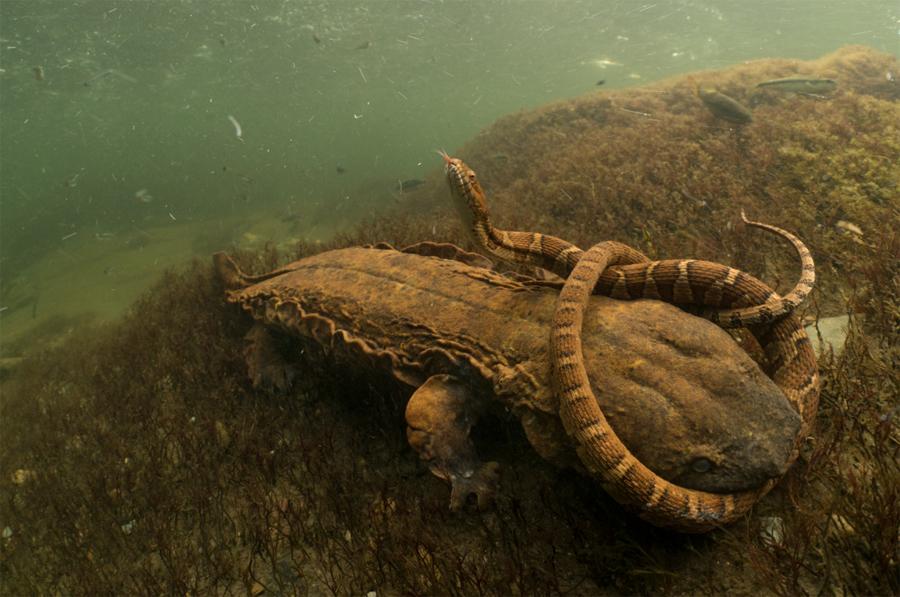 (Photo Provided to China Daily)