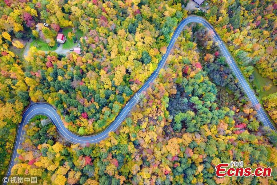 A drone photo shows the mountain road and fall foliage in Vermont, the United States. (Photo/VCG)