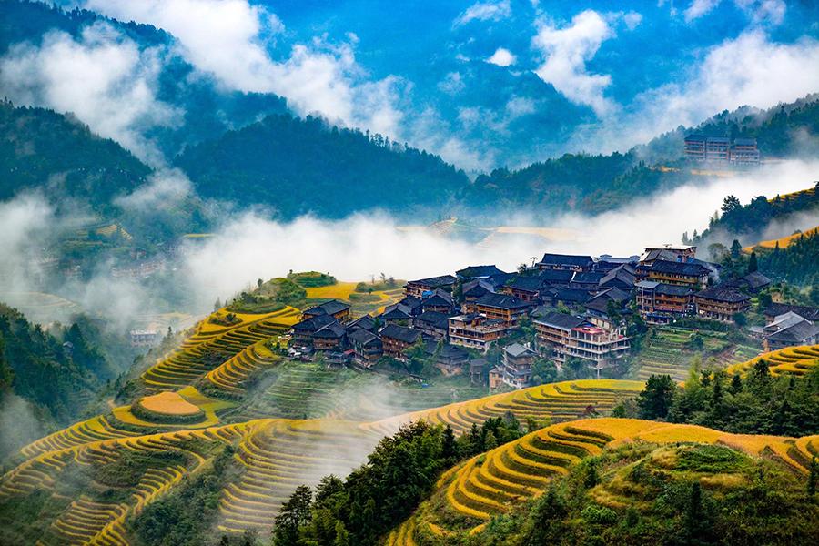 Late autumn is the best time of the year to enjoy the picturesque views of terraced rice fields on the Longji Mountain of Longsheng county, South China\'s Guangxi Zhuang autonomous region. The villagers will harvest the rice next week. Their ancestors started to plant the crop in the terraced fields in late Yuan Dynasty (1271-1368). (Photo by Pan Zhixiang for chinadaily.com.cn)