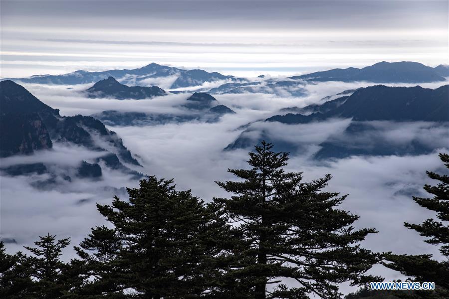 Aerial photo taken on Oct. 20, 2018 shows the cloud-covered Yinyu River Valley within the Shennongding Scenic Area in Shennongjia Forestry District, central China\'s Hubei Province. (Xinhua/Du Huaju)