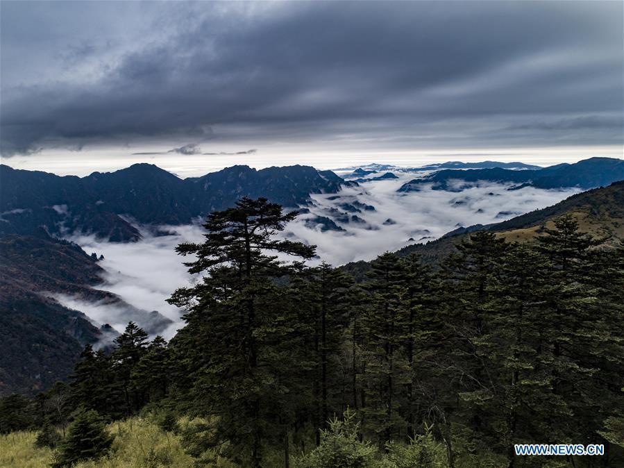 Aerial photo taken on Oct. 20, 2018 shows the cloud-covered Yinyu River Valley within the Shennongding Scenic Area in Shennongjia Forestry District, central China\'s Hubei Province. (Xinhua/Du Huaju)