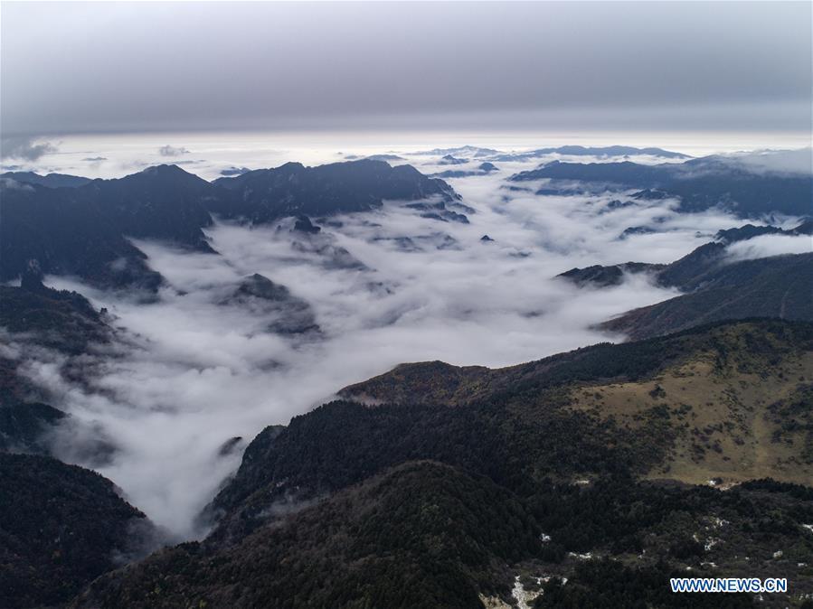 Aerial photo taken on Oct. 20, 2018 shows the cloud-covered Yinyu River Valley within the Shennongding Scenic Area in Shennongjia Forestry District, central China\'s Hubei Province. (Xinhua/Du Huaju)