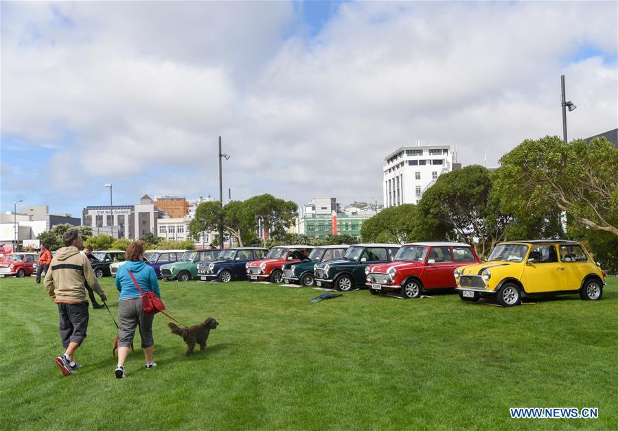 Photo taken on Oct. 20, 2018 shows BMW MINI Cooper vehicles displayed by owners in Wellington, New Zealand. More than 120 BMW MINI Cooper vehicles are displayed during the 24th Mini Nationals Show and Shine. (Xinhua/Guo Lei)