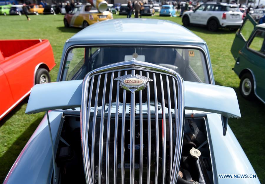 Photo taken on Oct. 20, 2018 shows a BMW MINI Cooper vehicle displayed by its owner in Wellington, New Zealand. More than 120 BMW MINI Cooper vehicles are displayed during the 24th Mini Nationals Show and Shine. (Xinhua/Guo Lei)