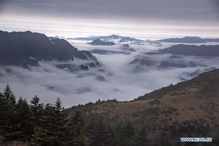 Aerial photo taken on Oct. 20, 2018 shows the cloud-covered Yinyu River Valley within the Shennongding Scenic Area in Shennongjia Forestry District, central China\'s Hubei Province. (Xinhua/Du Huaju)