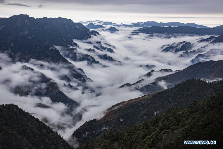 Aerial photo taken on Oct. 20, 2018 shows the cloud-covered Yinyu River Valley within the Shennongding Scenic Area in Shennongjia Forestry District, central China\'s Hubei Province. (Xinhua/Du Huaju)
