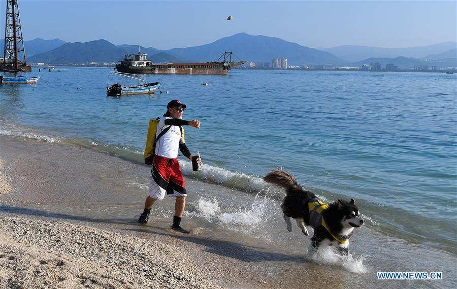 Canadian Craig Anderson interacts with his pet dog on the West Island in Sanya, south China\'s Hainan Province, Sept. 20, 2018. Anderson arrived in February at the West Island inhabited by around 4,000 people. Locals regarded Anderson as a scavenger when he first arrived, as he wandered around the beach almost every day, picking up driftwood, plastic bottles, shattered glasses, and rusty pieces of iron. As time went by, the locals realized that Anderson is an artist who devotes himself in environment protection art design. He profits the recyclable and regenerative materials in making art works.(Xinhua/Yang Guanyu)