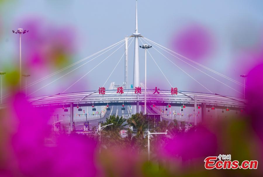 A view of the Zhuhai-Hong Kong-Macao Bridge, Oct. 24, 2018. (Photo: China News Service/Zhang Wei)