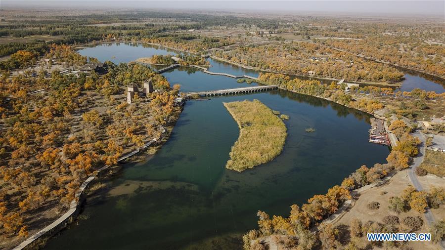 Aerial photo taken on Oct. 22, 2018 shows the trees of populus euphratica in Anarkol Township of Bachu County, northwest China\'s Xinjiang Uygur Autonomous Region. (Xinhua/Hu Huhu)