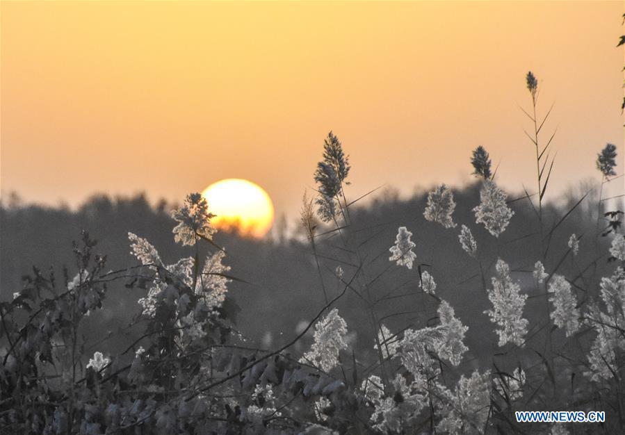 Aerial photo taken on Oct. 24, 2018 shows the scenery in sunrise in Dolatbag Township of Bachu County, northwest China\'s Xinjiang Uygur Autonomous Region. (Xinhua/Li Zhihao)