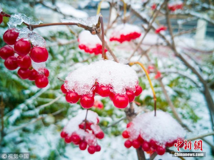 <?php echo strip_tags(addslashes(The first snow before winter hits Changchun City, Northeast China’s Jilin Province, Oct. 28, 2018. (Photo/VCG))) ?>