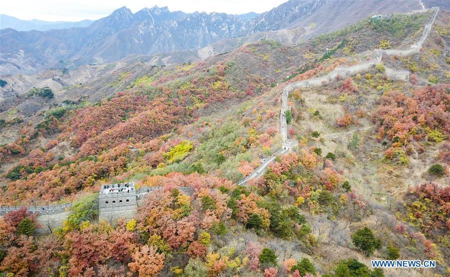 Aerial photo taken on Oct. 28, 2018 shows the autumn scenery of the Mutianyu Great Wall in Beijing, capital of China. (Xinhua/Chen Yehua)