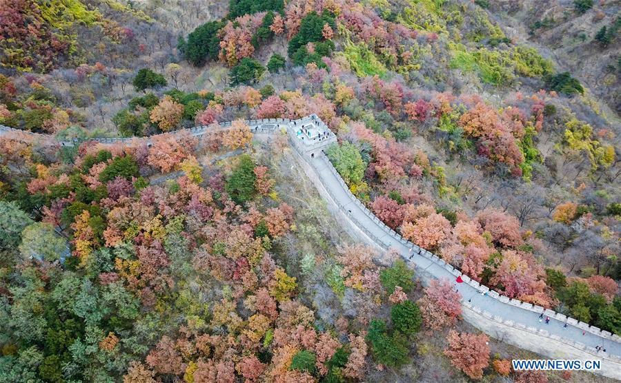 Aerial photo taken on Oct. 28, 2018 shows the autumn scenery of the Mutianyu Great Wall in Beijing, capital of China. (Xinhua/Chen Yehua)