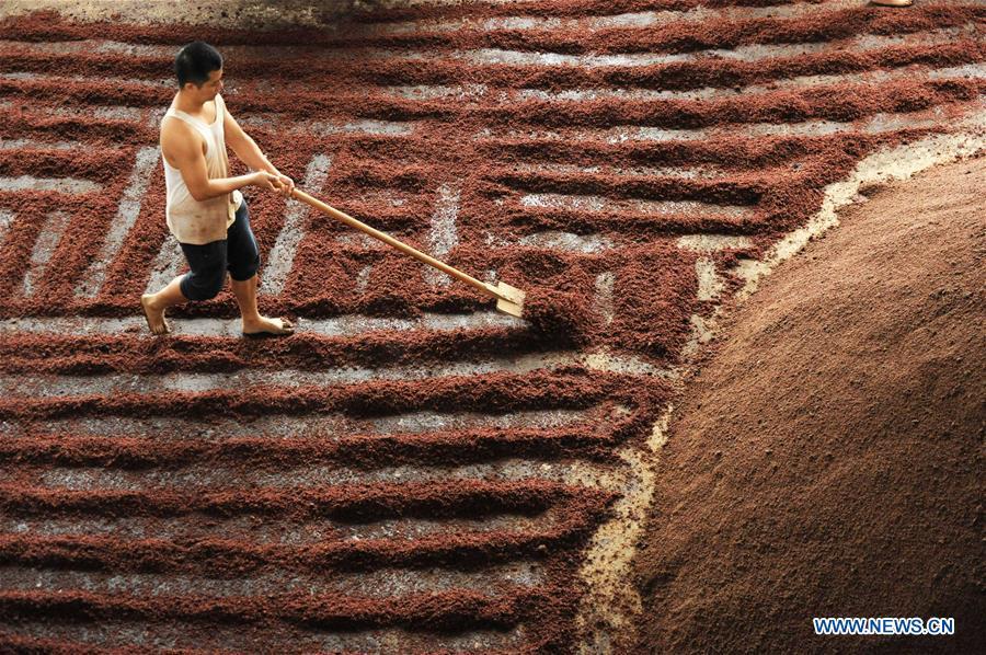 Workers process sorghum grains at a distillery in Maotai town in the city of Renhuai in southwest China\'s Guizhou Province, Oct. 23, 2018. Maotai is a small town in Renhuai City in mountainous Guizhou. What distinguishes it from other Chinese small towns is that it produces a famous brand of Chinese liquor Moutai, which often served on official occasions and at state banquets. The spirit, made from sorghum and wheat, takes up to five years for the whole production process, involving nine times of steaming, eight times of fermentation and seven times of distillation, before aged in clay pots. Moutai is also considered a luxury item that has long been a popular gift. China\'s alcohol industry earned about 1 trillion yuan in revenue in 2017. The total profits rose by 36 percent year on year to over 100 billion yuan, according to China National Light Industry Council. (Xinhua/Yang Wenbin)