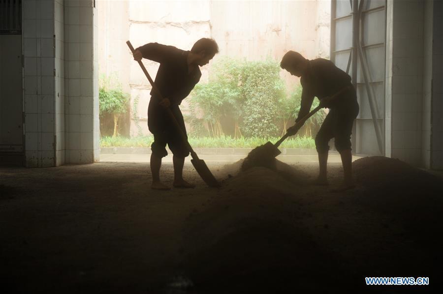 Workers process sorghum grains at a distillery of Kweichow Moutai in Maotai town in the city of Renhuai in southwest China\'s Guizhou Province, Oct. 23, 2018. Maotai is a small town in Renhuai City in mountainous Guizhou. What distinguishes it from other Chinese small towns is that it produces a famous brand of Chinese liquor Moutai, which often served on official occasions and at state banquets. The spirit, made from sorghum and wheat, takes up to five years for the whole production process, involving nine times of steaming, eight times of fermentation and seven times of distillation, before aged in clay pots. Moutai is also considered a luxury item that has long been a popular gift. China\'s alcohol industry earned about 1 trillion yuan in revenue in 2017. The total profits rose by 36 percent year on year to over 100 billion yuan, according to China National Light Industry Council. (Xinhua/Yang Wenbin)