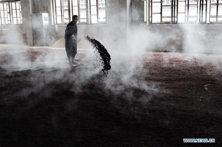 A worker processes sorghum grains at a distillery of Kweichow Moutai in Maotai town in the city of Renhuai in southwest China\'s Guizhou Province, Oct. 23, 2018. Maotai is a small town in Renhuai City in mountainous Guizhou. What distinguishes it from other Chinese small towns is that it produces a famous brand of Chinese liquor Moutai, which often served on official occasions and at state banquets. The spirit, made from sorghum and wheat, takes up to five years for the whole production process, involving nine times of steaming, eight times of fermentation and seven times of distillation, before aged in clay pots. Moutai is also considered a luxury item that has long been a popular gift. China\'s alcohol industry earned about 1 trillion yuan in revenue in 2017. The total profits rose by 36 percent year on year to over 100 billion yuan, according to China National Light Industry Council. (Xinhua/Lin Liping)