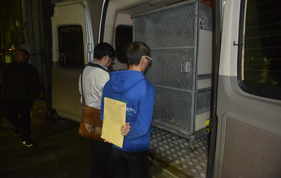 Breeders and vets check Gao Gao\'s health. (Photo/Courtesy of China Conservation and Research Center of Giant Pandas)