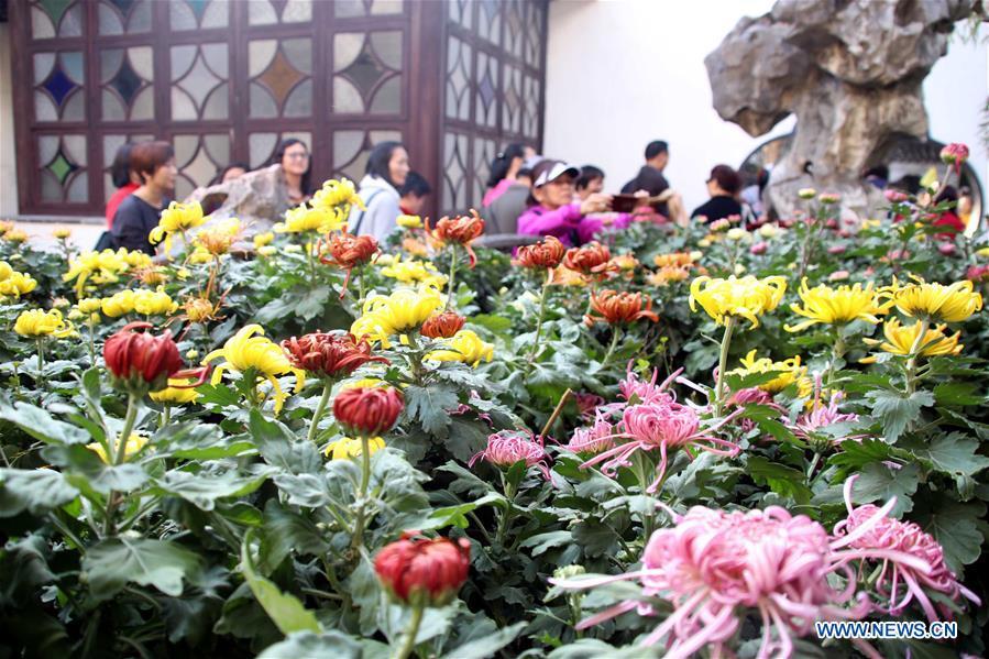 Photo taken on Nov. 1, 2018 shows chrysanthemums exhibited at the Lion Forest Garden, one of the four Suzhou classical gardens, in Suzhou, east China\'s Jiangsu Province. The one-month 2018 chrysanthemum exhibition opened here on Thursday. (Xinhua/Wang Jiankang)