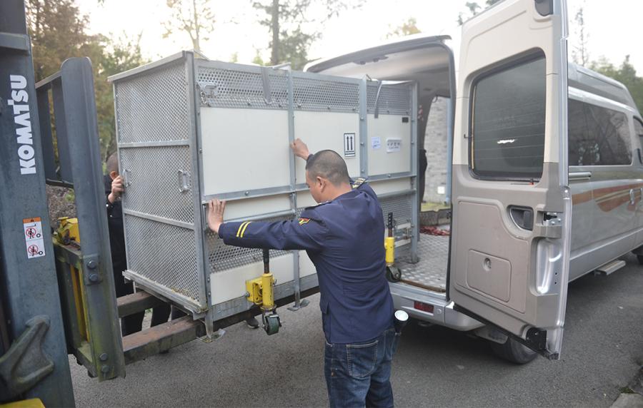 Gao Gao arrived at the base of the China Conservation and Research Center of Giant Pandas on Thursday morning.  (Photo/Courtesy of China Conservation and Research Center of Giant Pandas)