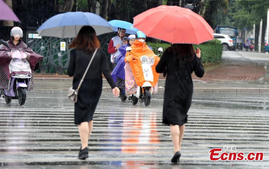 People walk in rain in Fuzhou, southeast China\'s Fujian province on November 2, 2018. According to the provincial meteorological center, as of 5 a.m., Yutu was located about 355 kilometers ofthe coast of Fujian\'s Dongshan county. (Photo: China News Service/ Zhang Bin)
