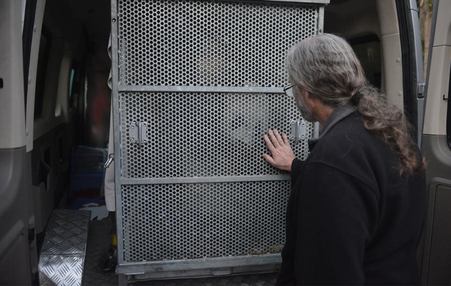 A breeder from the San Diego Zoo interacts with Gao Gao.  (Photo/Courtesy of China Conservation and Research Center of Giant Pandas)