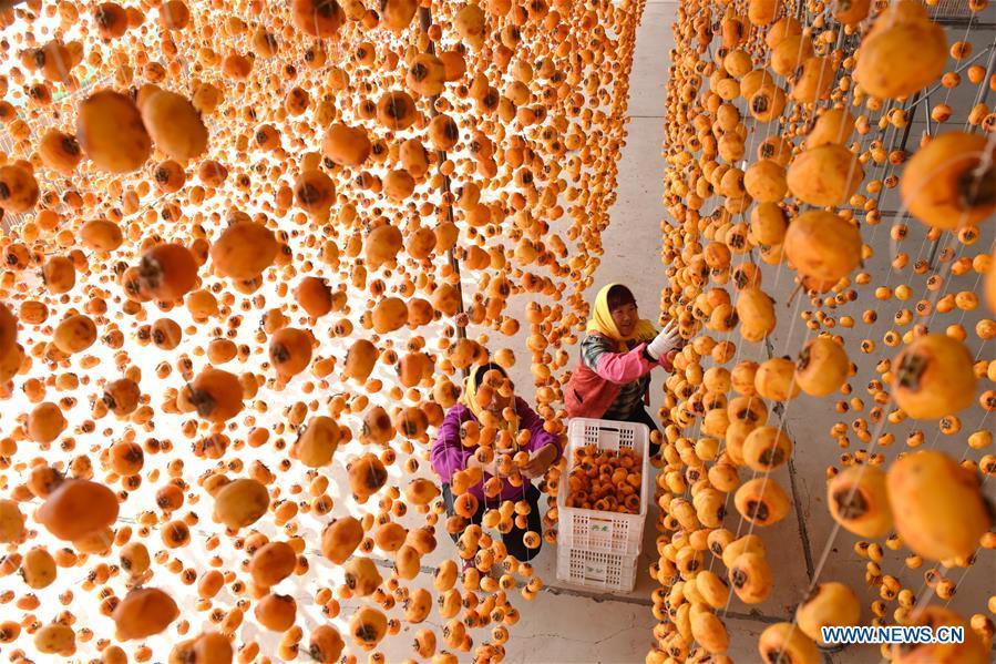 Farmers hang persimmons for drying in Maquan Village of Yinan County, east China\'s Shandong Province, Nov. 2, 2018. (Xinhua/Du Yubao)