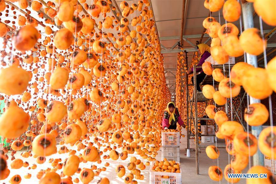 Farmers hang persimmons for drying in Maquan Village of Yinan County, east China\'s Shandong Province, Nov. 2, 2018. (Xinhua/Du Yubao)
