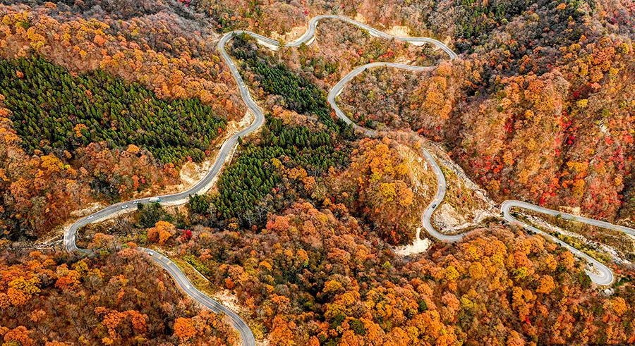 An autumn view of the Mazongling National Nature Reserve, Jinzhai county, Anhui Province, Nov. 14, 2018.(Photo/Asianewsphoto)