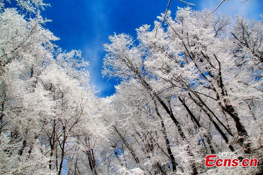 Photo taken on November 5, 2018 shows a view of the snow-covered Kongtong Mountain in Pingliang city, northwest China\'s Gansu Province.(Photo: China News Service/Xu Zhenhua)