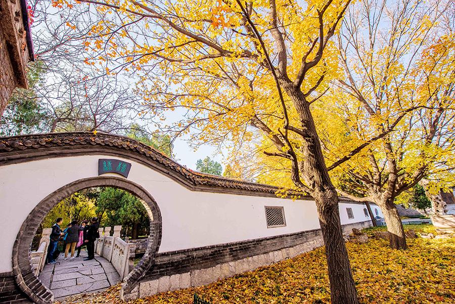 <?php echo strip_tags(addslashes(Colorful tree leaves and ancient-style buildings have made the early wintry scene in the old town area of ancient town Qingzhou, Weifang city, Shandong Province, an interesting mix. (Photo/Asianewsphoto))) ?>