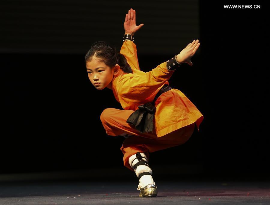 A martial arts student performs during \