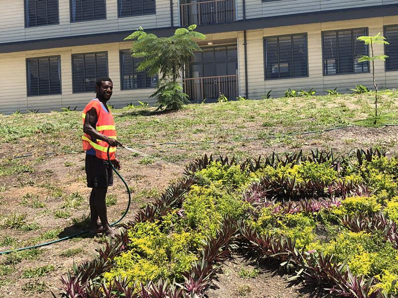 Photo shows a member of staff watering “Belt and Road” plants. (Photo/People\'s Daily Online)