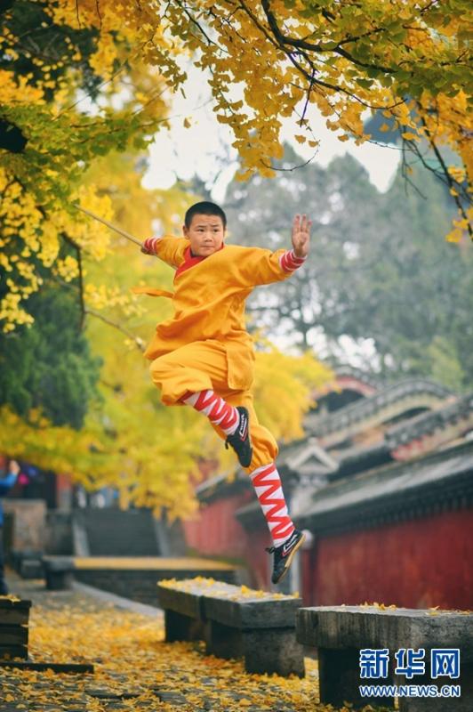 A monk practices martial arts under autumn leaves at the Shaolin Temple, located at the foot of Songshan Mountain, Henan Province, November 11, 2018. (Photo/Xinhua)