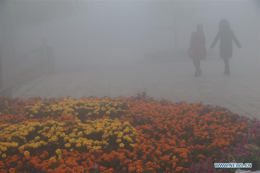 Citizens walk in a park in thick fog in Handan, north China\'s Hebei Province, Nov. 13, 2018. (Xinhua/Cheng Xuehu)