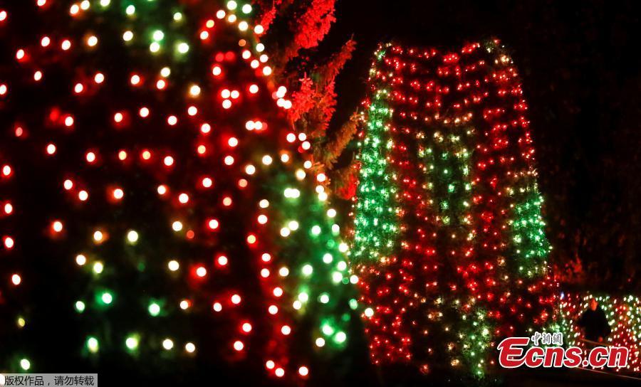 <?php echo strip_tags(addslashes(Visitors walk along illuminated objects during the Christmas Garden event at a botanic garden in Berlin, Germany, November 15, 2018.    (Photo/Agencies))) ?>