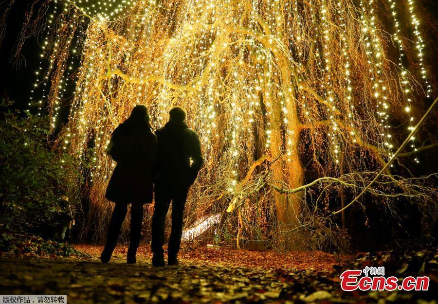 <?php echo strip_tags(addslashes(Visitors walk along illuminated objects during the Christmas Garden event at a botanic garden in Berlin, Germany, November 15, 2018.  (Photo/Agencies))) ?>