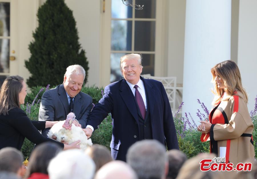 U.S. President Donald Trump (L3) participates in the National Thanksgiving Turkey Pardoning Ceremony at the Rose Garden of the White House in Washington D.C., the United States, on Nov. 20, 2018. (Photo: China News Service/ Chen Mengtong)

U.S. President Donald Trump on Tuesday pardoned two turkeys, namely \