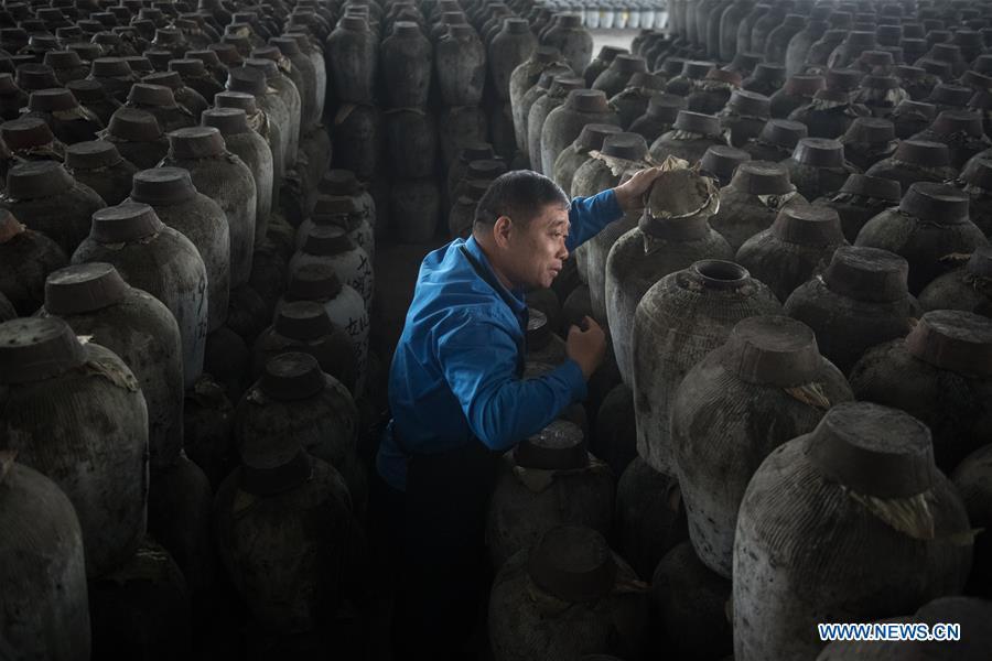 A worker checks the fermenting situation of rice wine at Shaoxing Nuerhong Winery Company in Shaoxing, east China\'s Zhejiang Province, Nov. 21, 2018. The company maintains its traditional rice wine brewing method, which is composed of nearly 20 processing steps. (Xinhua/Weng Xinyang)