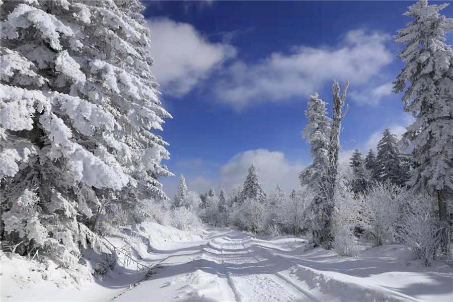 <?php echo strip_tags(addslashes(Snowfall has turned the Laoling mountain range into a winter wonderland.  (Photo by An Zhenli for chinadaily.com.cn))) ?>