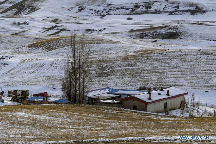 <?php echo strip_tags(addslashes(Photo taken on Nov. 22, 2018 shows snow-covered field in Qitai County, northwest China's Xinjiang Uygur Autonomous Region. (Xinhua/Zhao Ge))) ?>