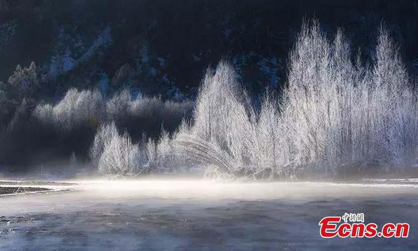 <?php echo strip_tags(addslashes(The photo taken in November, 2018 shows the rime scenery in Huzhong, northeast China's Heilongjiang province. If you thought it was cold where you are at this moment, then a visit to Huzhong, northeast China's Heilongjiang province, might change your mind. A cold front plunged the temperature well below the freezing point to -38 C recent days, the lowest this winter. (Photo: China News Service/ Tian Yunxiang))) ?>
