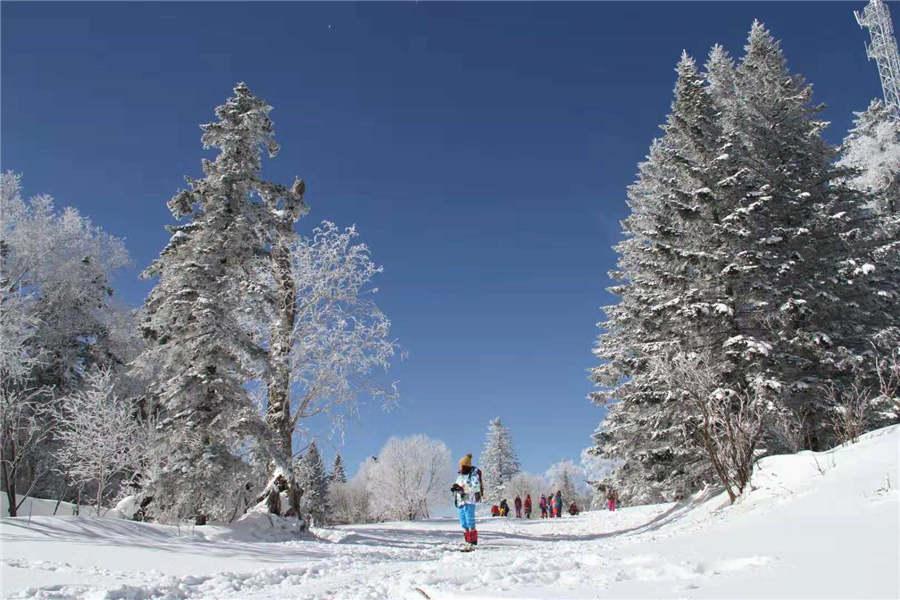Snowfall has turned the Laoling mountain range into a winter wonderland. (Photo by An Zhenli for chinadaily.com.cn)
As winter comes, tourists flock to the Laoling mountain range located between Antu county and Longcheng city in Northeast China\'s Jilin province. The region sees an early snowfall in the winter because of its high altitude, and has once again transformed into a winter wonderland.