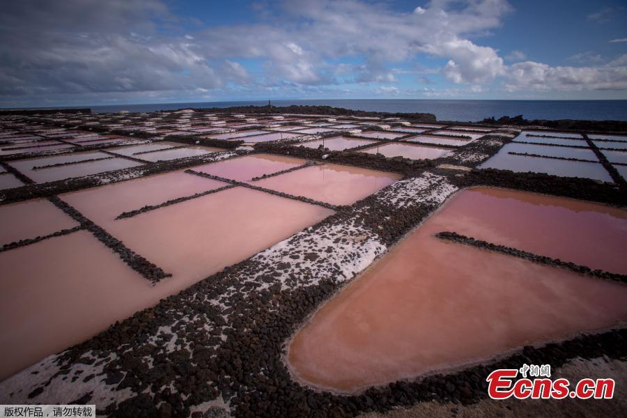 <?php echo strip_tags(addslashes(A picture shows salt pans at the Salinas de Fuencaliente, south of the island of Las Palmas in Spain on November 26, 2018. Las Salinas de Fuencaliente is an exploitation of 35,000 square metres of high quality sea salt near the Teneguia volcano range. (Photo/Agencies))) ?>