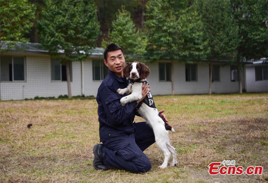 <?php echo strip_tags(addslashes(A police dog is trained at a training base In Shiyan, Central China’s Hubei province on November 27, 2018. The base has several dogs that can assist in diverse tasks including patrolling and searching for explosives or drugs. (Photo: China News Servcie/ Zhao Wei))) ?>