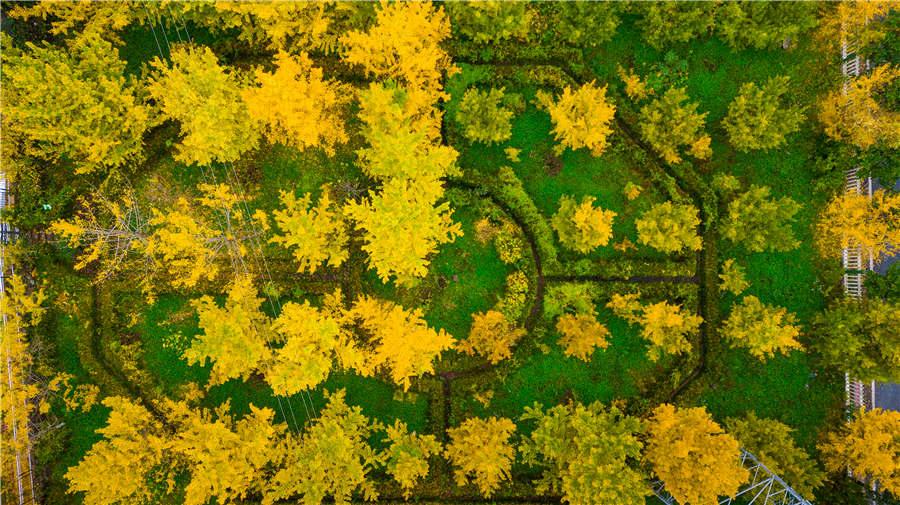 Tiantishan Grottoes in Wuwei county of Gansu Province. (Photo provided to chinadaily.com.cn)