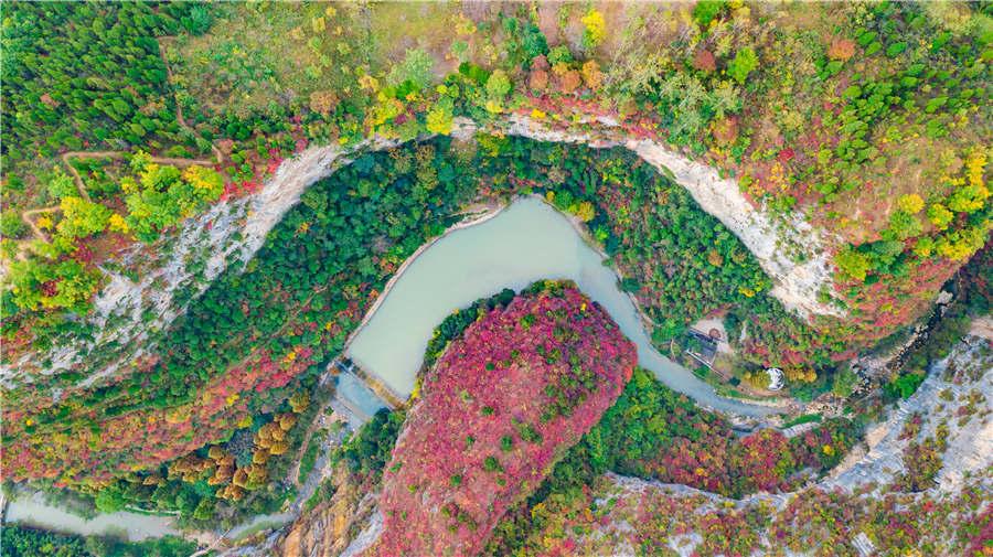 Xixiasong Scenic Spot in Longnan city of Gansu Province. (Photo provided to chinadaily.com.cn)